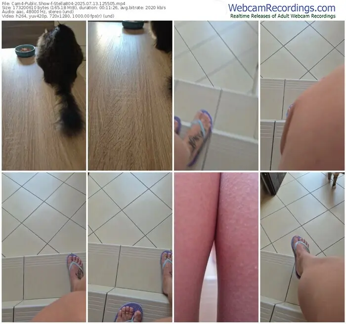 2025/07/13/cam4-stella804-12-55-05