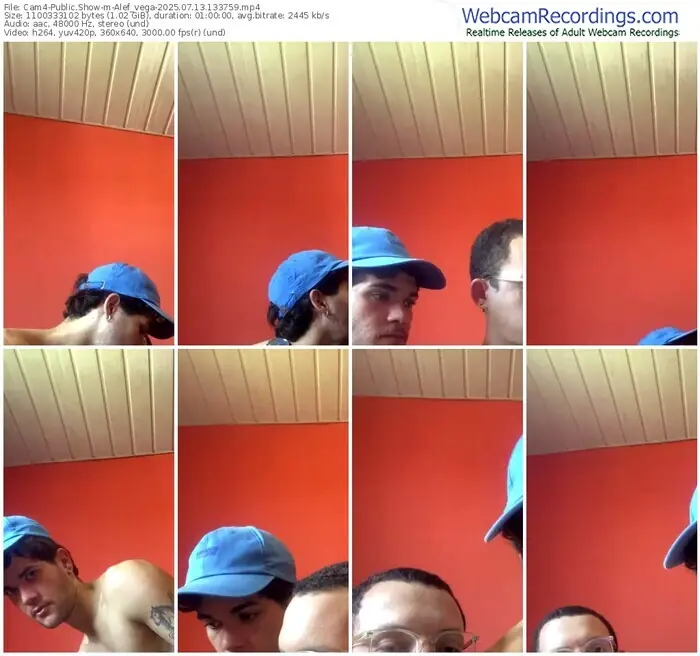 2025/07/13/cam4-alef_vega-13-37-59