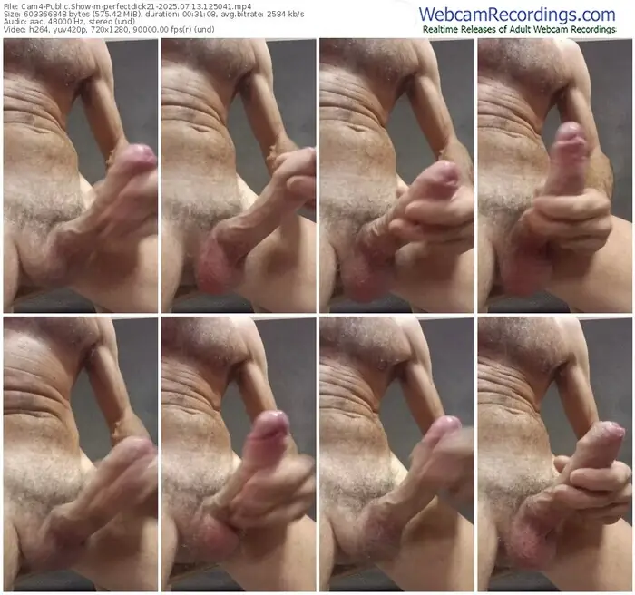 2025/07/13/cam4-perfectdick21-12-50-41