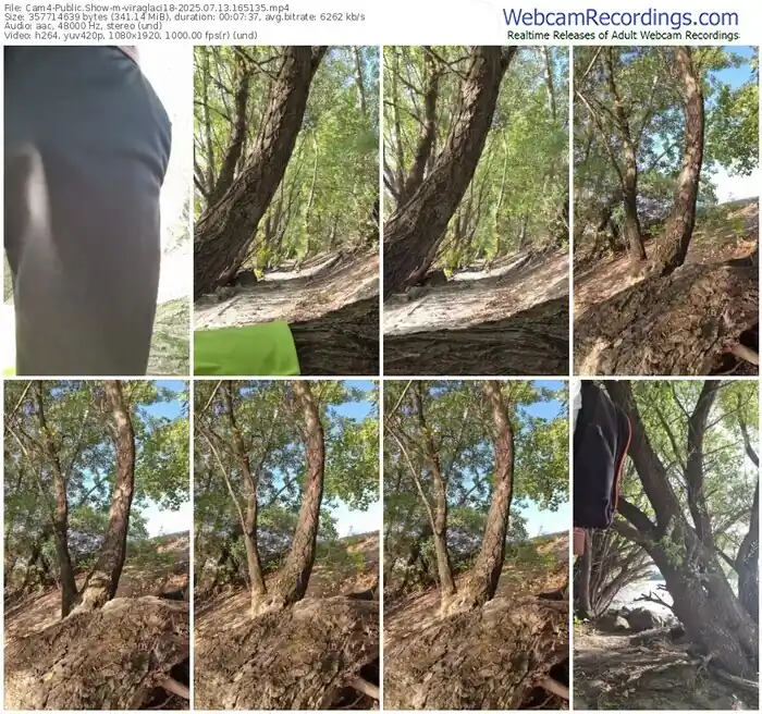 2025/07/13/cam4-viraglaci18-16-51-35