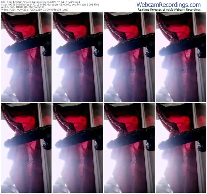 2025/07/14/cam4-fassfucklover-11-14-45