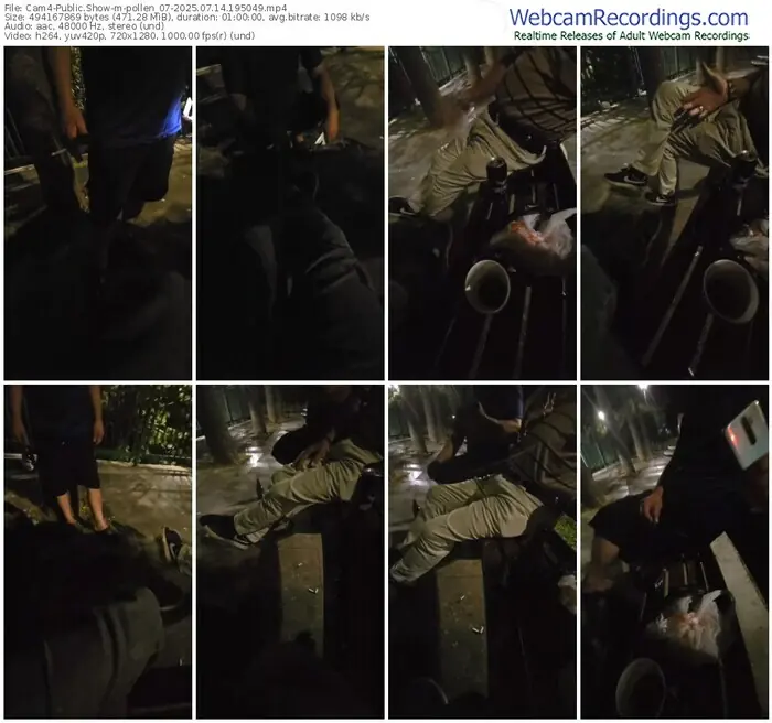 2025/07/14/cam4-pollen_07-19-50-49
