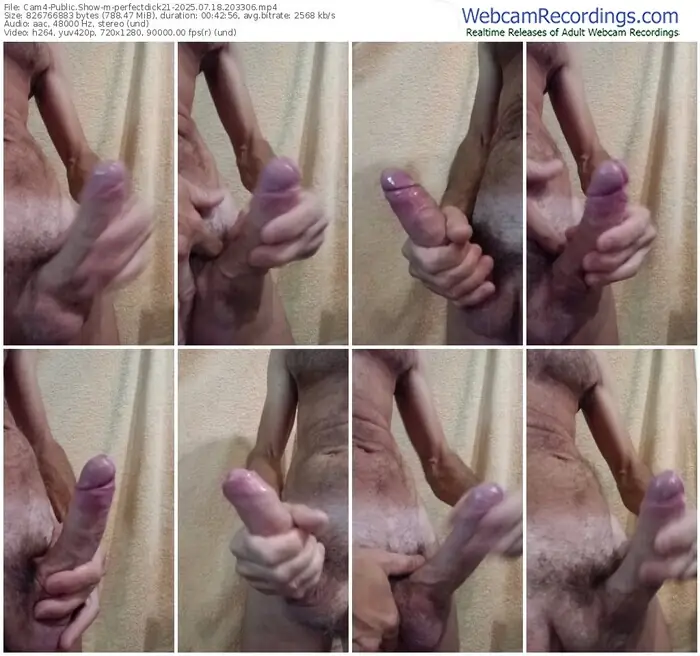 2025/07/18/cam4-perfectdick21-20-33-06