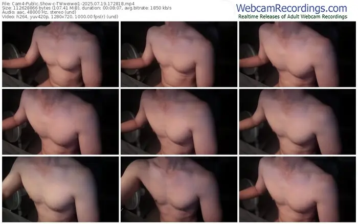 2025/07/19/cam4-twweiwei1-17-28-18