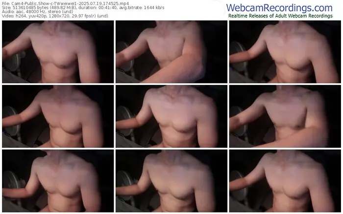 2025/07/19/cam4-twweiwei1-17-45-25