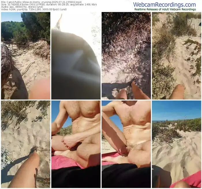 2025/07/21/cam4-horny_cruising-15-59-02