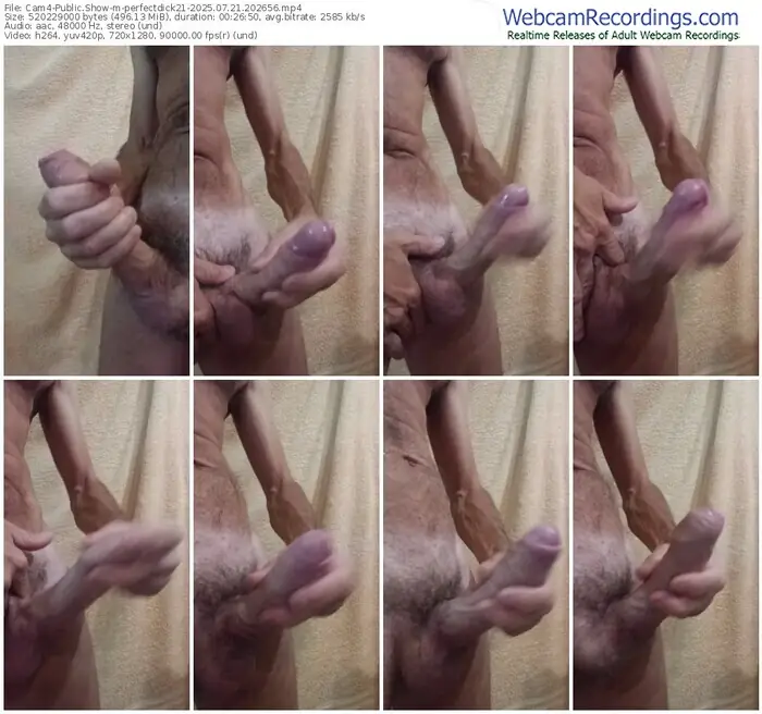 2025/07/21/cam4-perfectdick21-20-26-56
