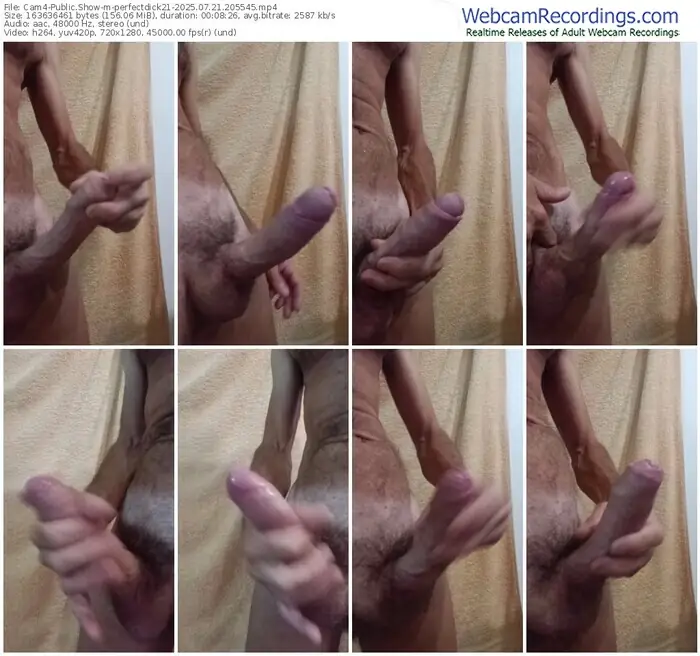 2025/07/21/cam4-perfectdick21-20-55-45