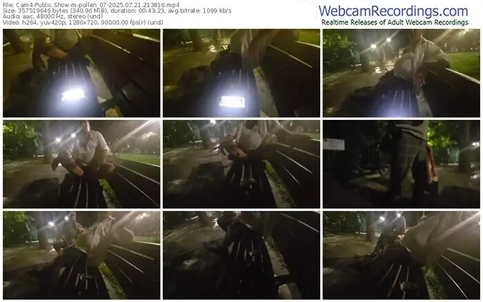 2025/07/21/cam4-pollen_07-21-38-16