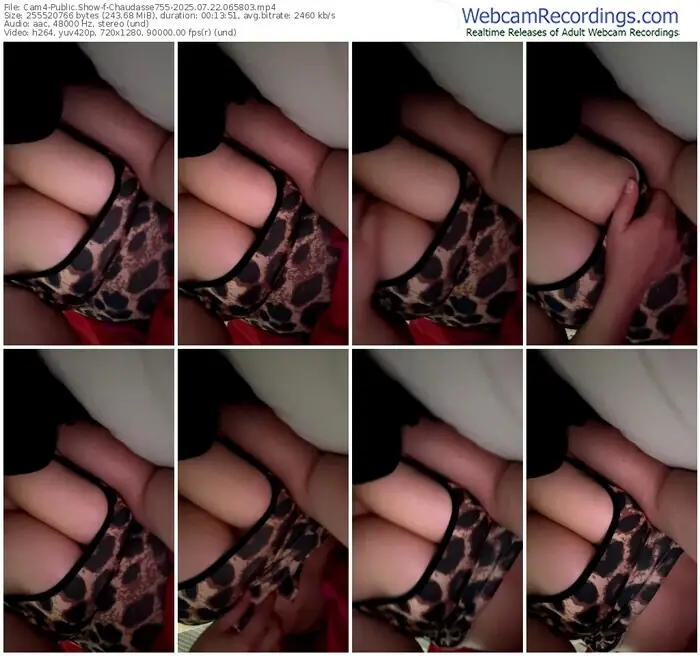 2025/07/22/cam4-chaudasse755-06-58-03
