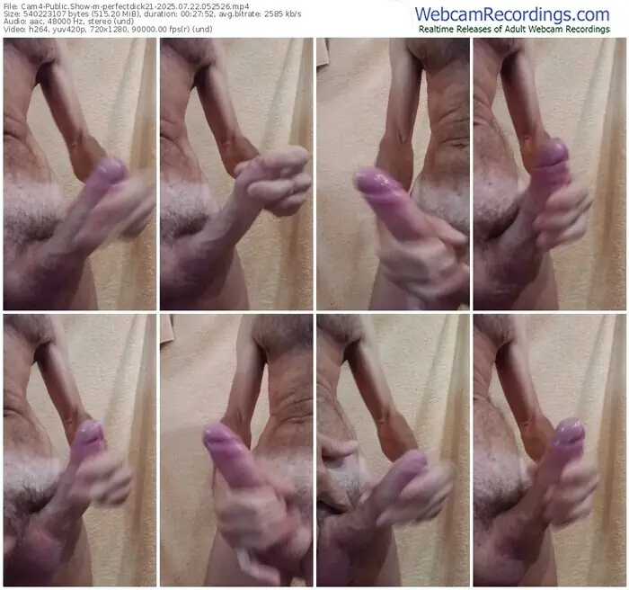 2025/07/22/cam4-perfectdick21-05-25-26