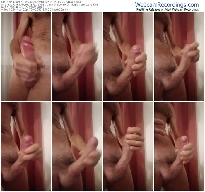 2025/07/25/cam4-perfectdick21-04-46-40