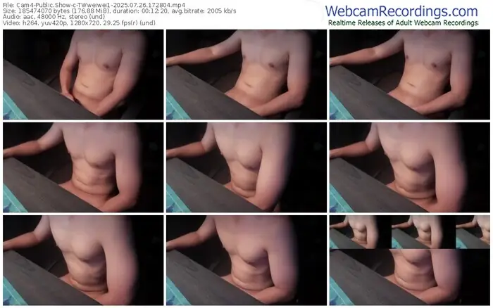 2025/07/26/cam4-twweiwei1-17-28-04