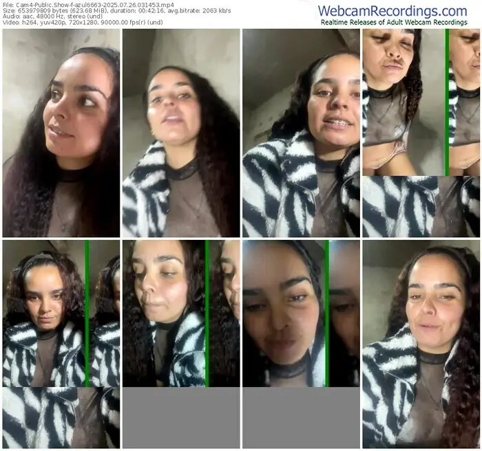 2025/07/26/cam4-azul6663-03-14-53