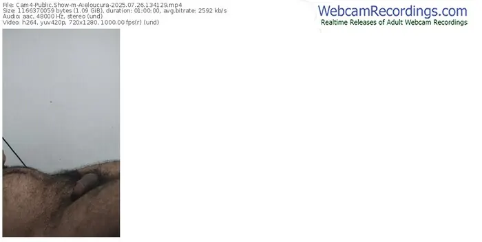 2025/07/26/cam4-aieloucura-13-41-29