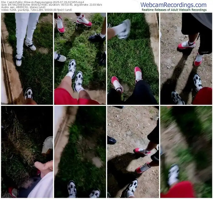 2025/07/26/cam4-papiyoungpig-02-34-55