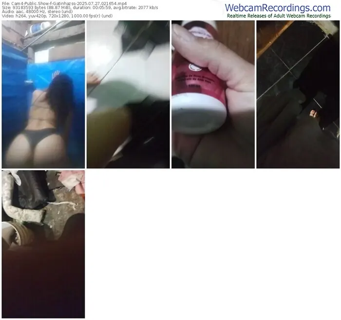 2025/07/27/cam4-gatinhazss-02-16-54