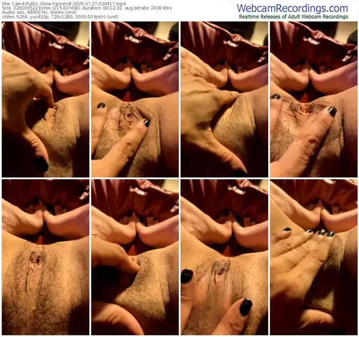 2025/07/27/cam4-pissriot-02-04-17