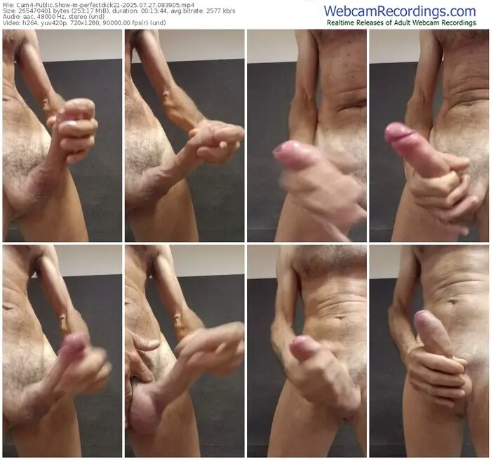 2025/07/27/cam4-perfectdick21-08-39-05