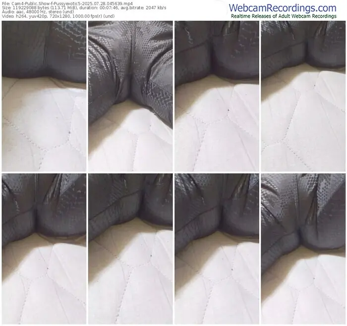 2025/07/28/cam4-pussyexotic5-04-56-39