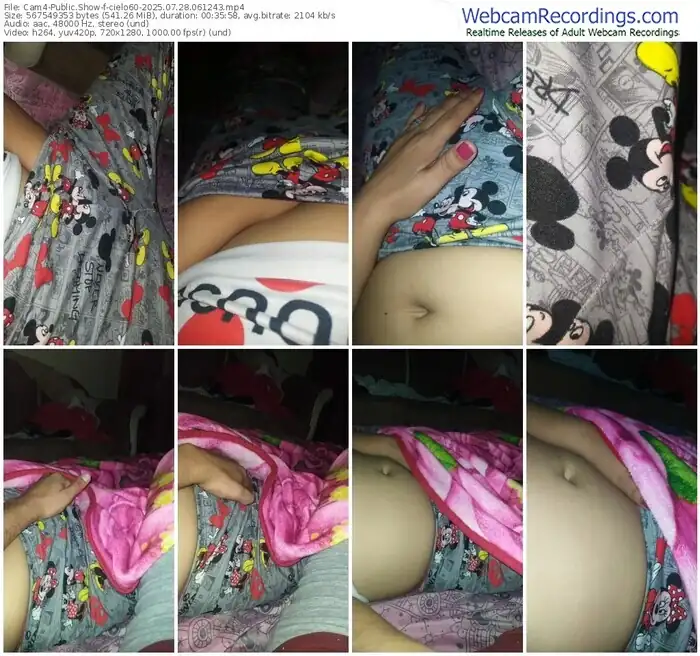 2025/07/28/cam4-cielo60-06-12-43