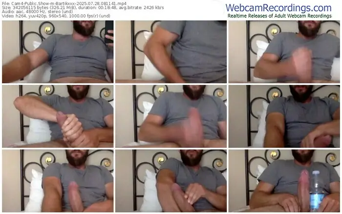 2025/07/28/cam4-bartikxxx-08-11-41