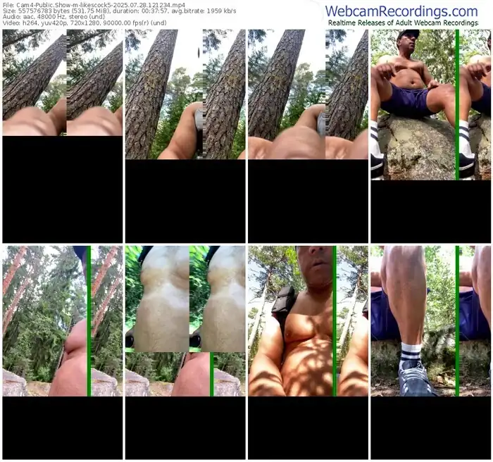 2025/07/28/cam4-likescock5-12-12-34