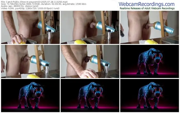 2025/07/28/cam4-poussin03-11-32-50
