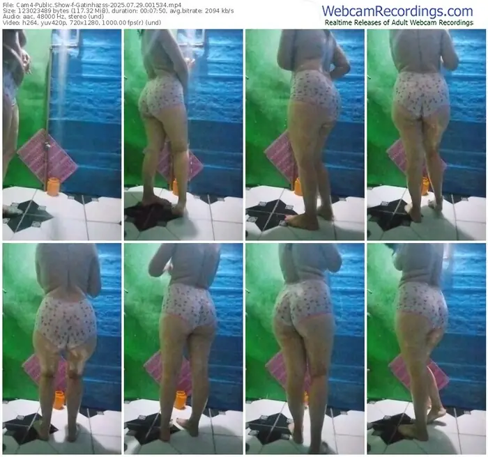 2025/07/29/cam4-gatinhazss-00-15-34