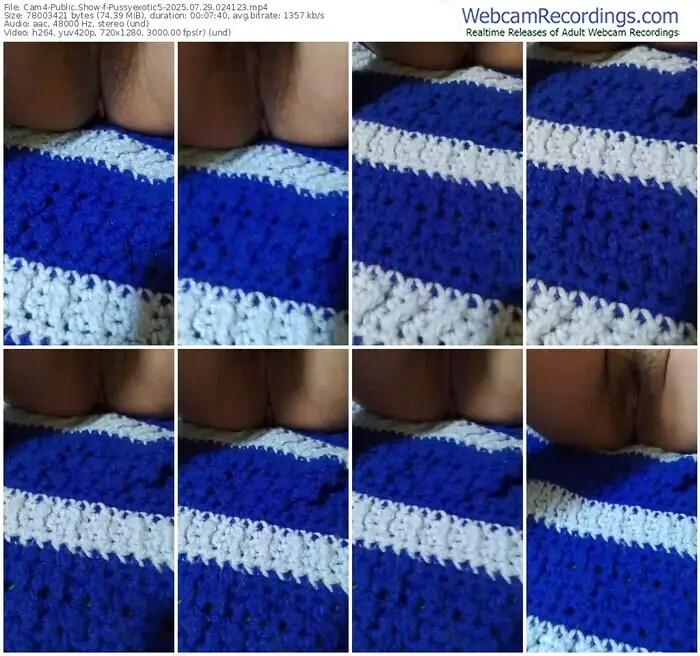 2025/07/29/cam4-pussyexotic5-02-41-23