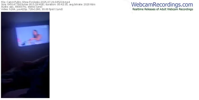 2025/07/29/cam4-vvleskv-04-52-18