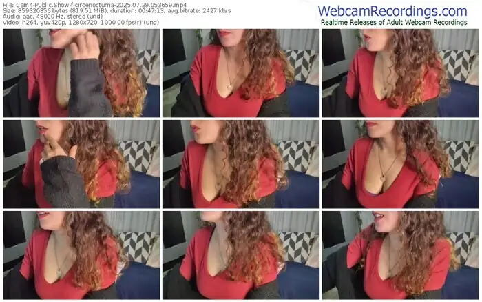 2025/07/29/cam4-circenocturna-05-36-59