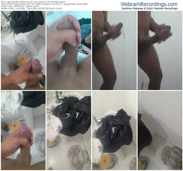 2025/07/29/cam4-gr7_br-01-48-04