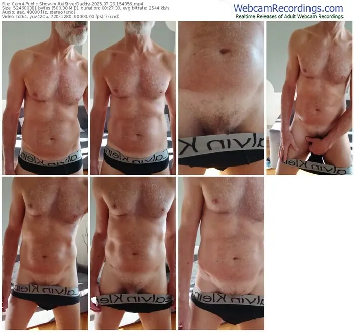 2025/07/29/cam4-italsilverdaddy-15-43-56