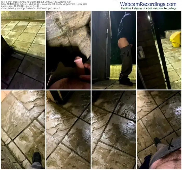 2025/07/29/cam4-outandabout-22-36-03