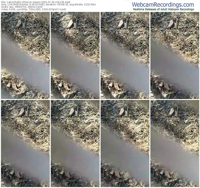 2025/07/30/cam4-geusii-16-12-35