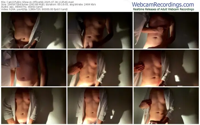 2025/07/30/cam4-officerkk-11-45-40