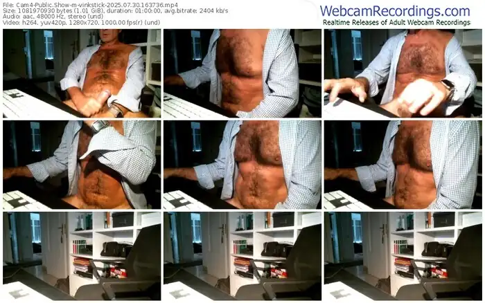 2025/07/30/cam4-vinkstick-16-37-36