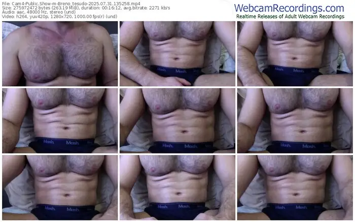 2025/07/31/cam4-breno_tesudo-13-52-58