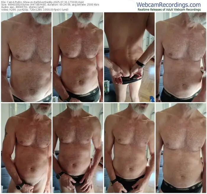 2025/07/31/cam4-italsilverdaddy-17-33-33