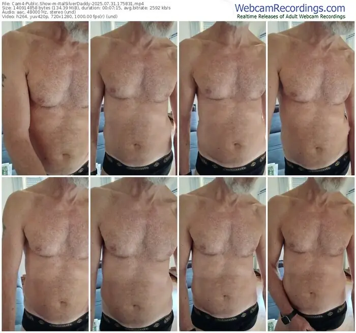 2025/07/31/cam4-italsilverdaddy-17-58-31