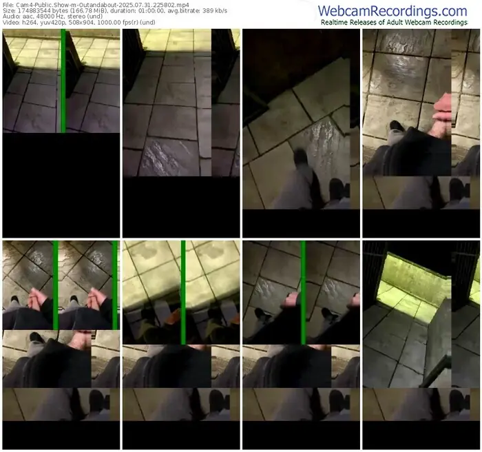 2025/07/31/cam4-outandabout-22-58-02