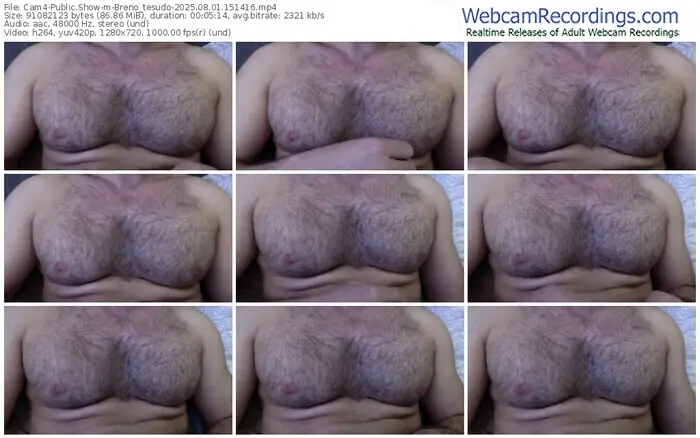 2025/08/01/cam4-breno_tesudo-15-14-16