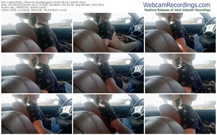 2025/08/01/cam4-sweetpuppy1-19-04-01