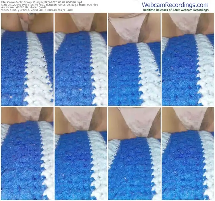 2025/08/02/cam4-pussyexotic5-03-03-20