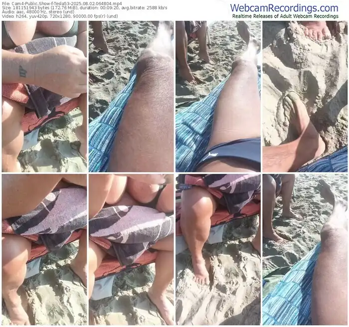 2025/08/02/cam4-tesla53-06-48-04