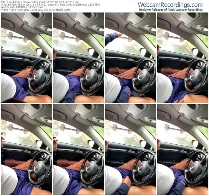 2025/08/02/cam4-likescock5-11-46-28