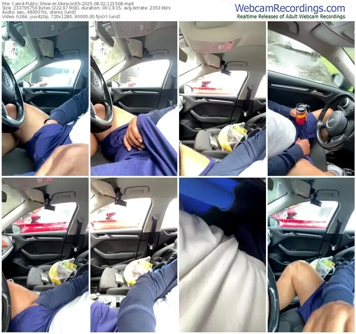 2025/08/02/cam4-likescock5-12-15-08