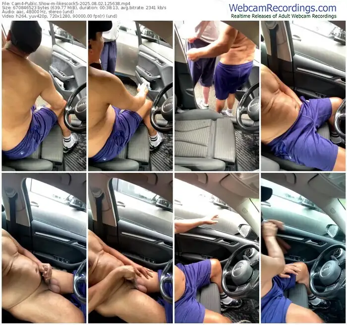 2025/08/02/cam4-likescock5-12-56-38