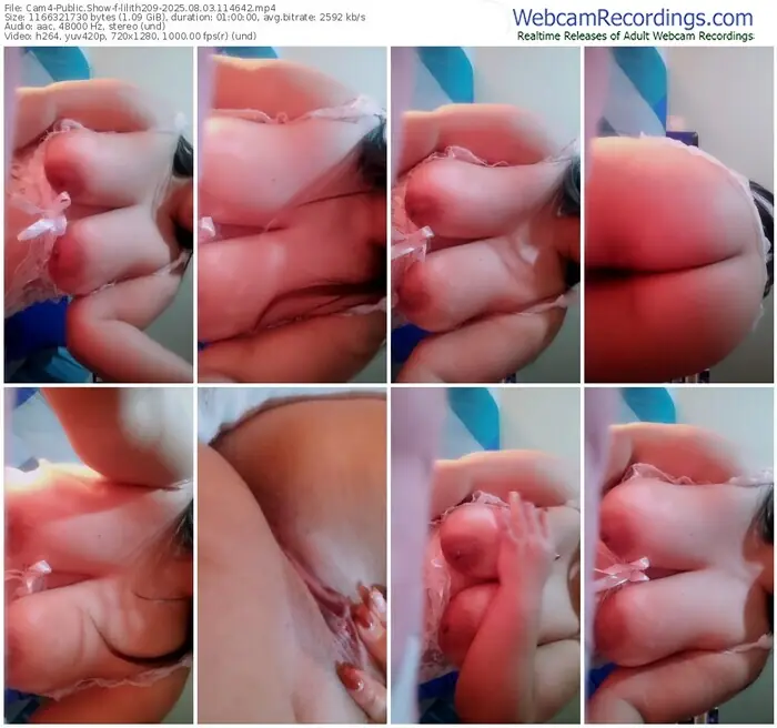 2025/08/03/cam4-lilith209-11-46-42